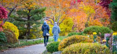 Young couple walking in park at fall; colorful trees and bushes on both sides of footpath